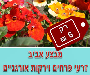 זרעים